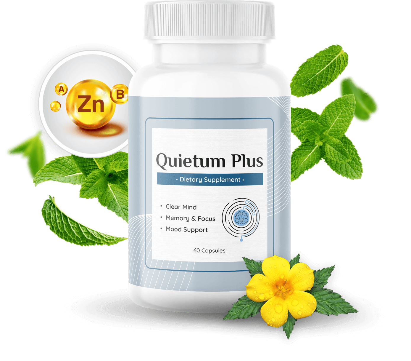 Quietum Plus Official Supplement Bottle